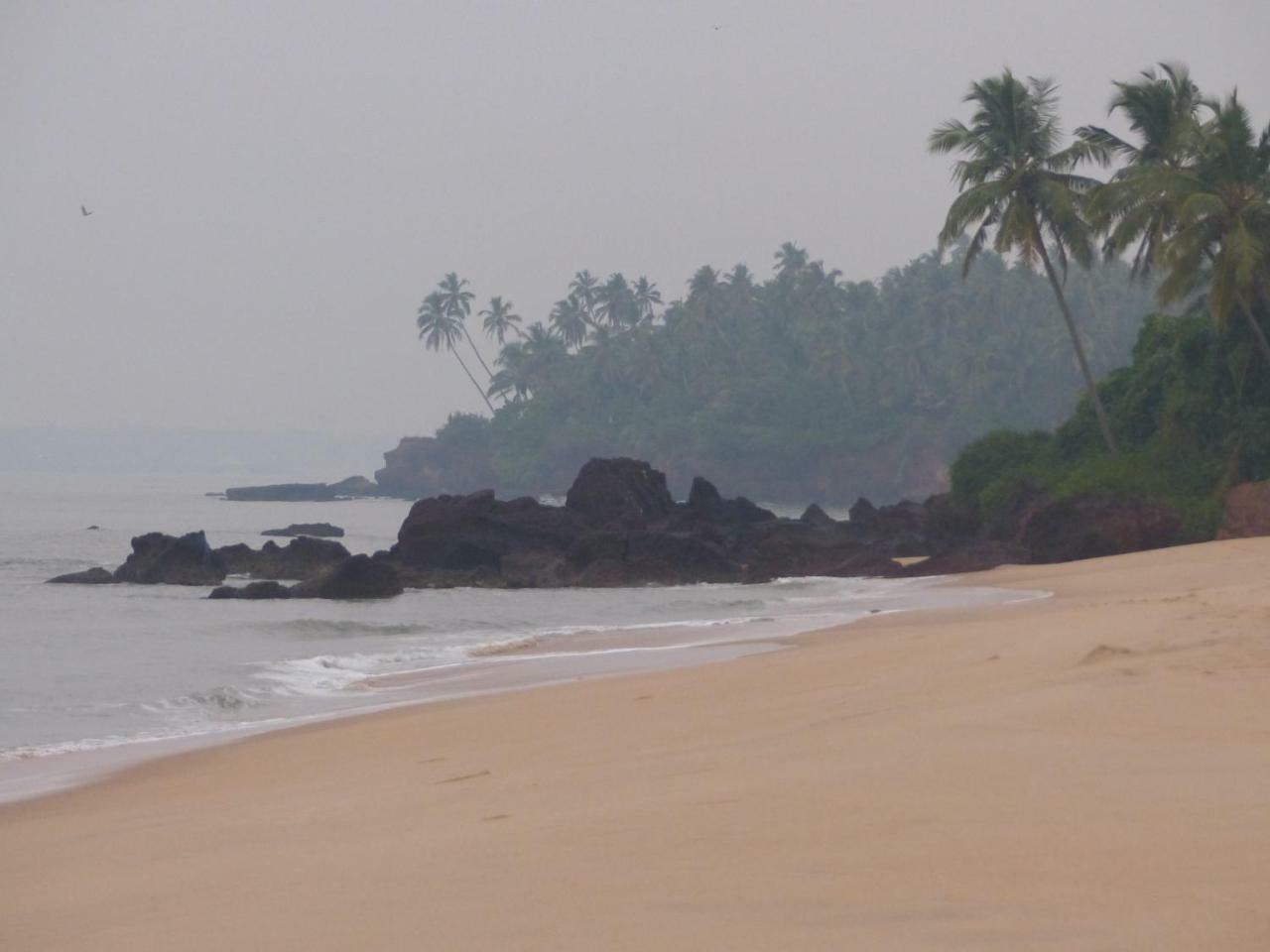 Ocean Green Kerala Kannur Εξωτερικό φωτογραφία