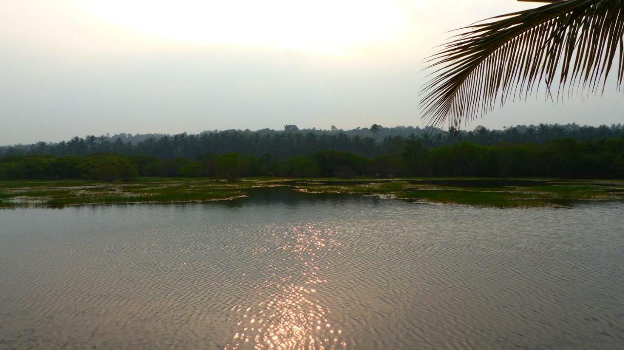 Ocean Green Kerala Kannur Εξωτερικό φωτογραφία